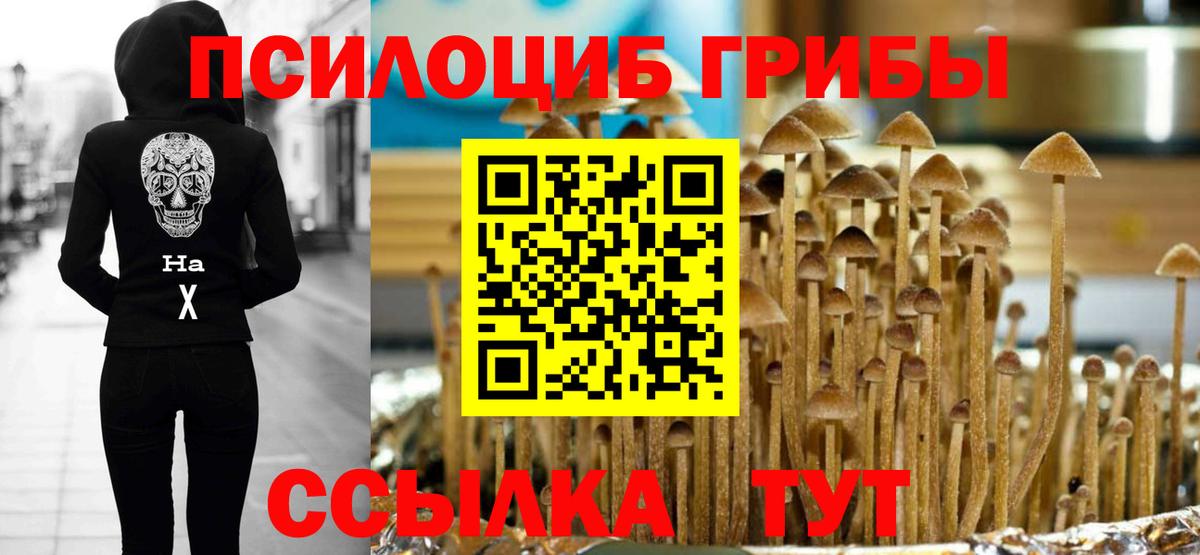 Выкса  Псилоцибиновые грибы прущие грибы  Псилоцибиновые грибы GOLDEN TEACHER  Вход с VPN 